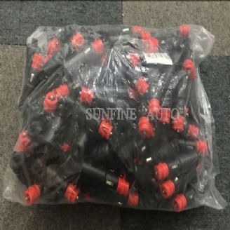 Auto Cigarette Plug